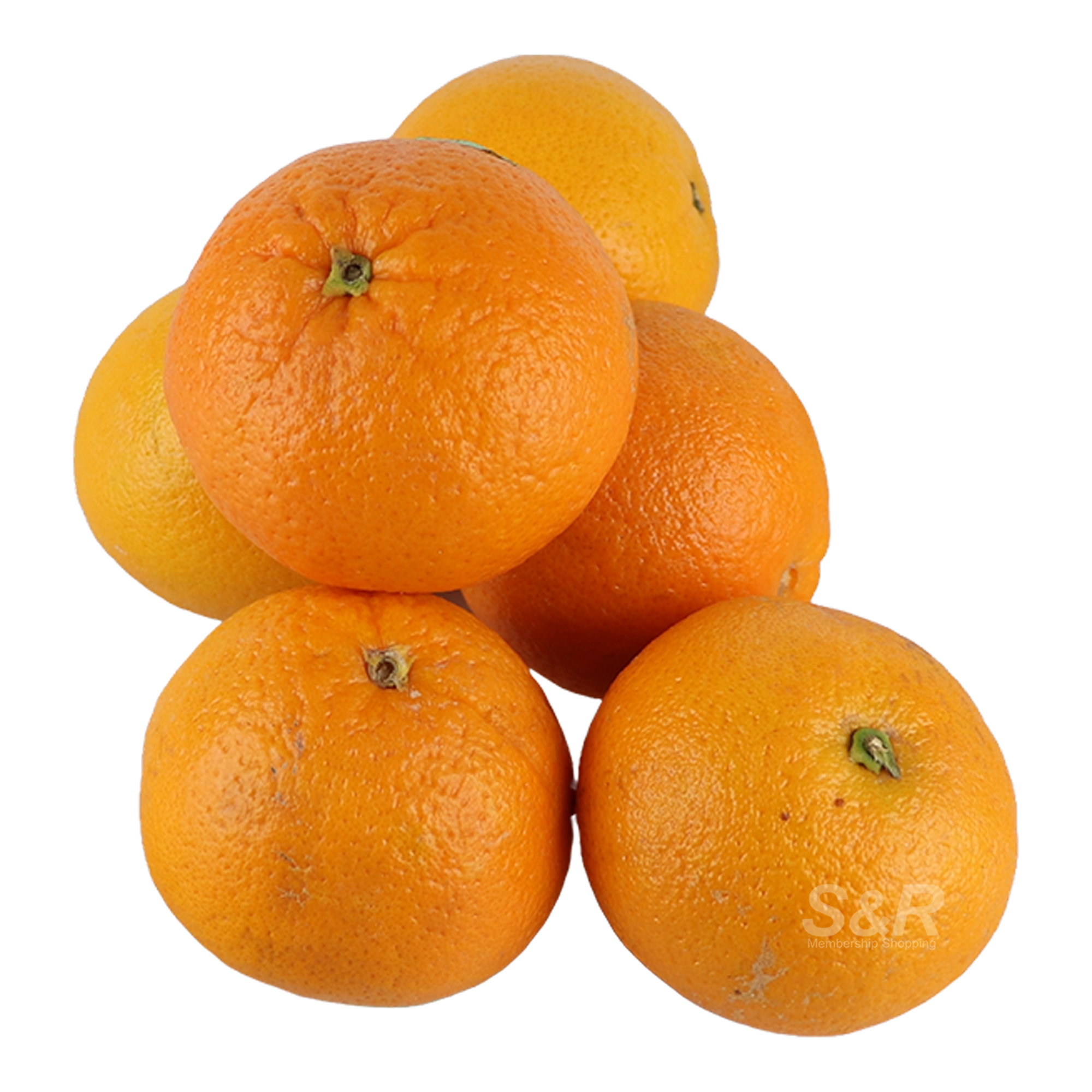 S&R Australian Valencia Orange 6 pcs